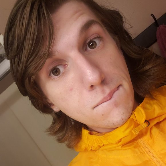 Meet your Posher, Addison - Picture 4 of 6